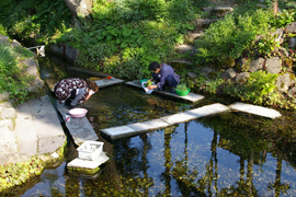 六郷湧水群（美郷町）